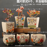 仟尚亿多肉花盆陶瓷手绘组合套装大口径多肉植物家用粗陶透气创意多肉盆 SK萌兔组合6个