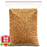 陈一凡茶叶 黄苦荞 苦荞茶全胚芽颗粒四川大凉山荞麦茶袋装500g