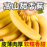 鲜福林云南高山威尼斯香蕉 单根独立包装新鲜水果非芭蕉现摘现发 带箱3斤装