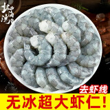 北海湾 鲜剥虾仁 特大青虾仁无冰翡翠大虾仁超大低脂去虾线冷冻虾类 【8-10cm】特大号  500g/袋 1000g