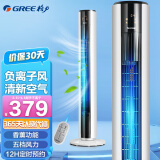 格力（GREE） 家用塔扇负离子节能电风扇遥控定时落地扇摇头无叶风扇 FL-09X62Bhc遥控款