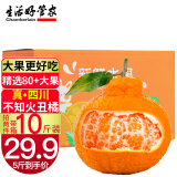 生活＆好管家四川丑橘不知火新鲜时令水果桔橘子丑柑带箱5斤装现摘大果80-85mm