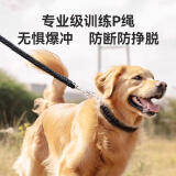 尚品犬 狗狗牵引绳中型大型犬项圈金毛拉布拉多狗链子外出遛狗绳p链用品 黑 牵引绳(长1.2M标准版) L码粗2cm(30-70斤)