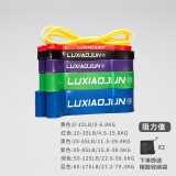 吕小军（LUXIAOJUN）引体向上弹力带阻力带力量训练健身健美瑜伽弹力绳拉伸带 套装5：全套6个规格