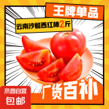 正宗云南沙瓤西红柿番茄可生吃新鲜现摘新鲜蔬菜减肥 精品小果(单果60g+) 2斤 带箱