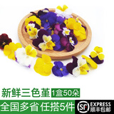 绿食者 新鲜三色堇50朵 小角堇三色花酒店西餐烘焙糕点摆盘装饰点缀花朵