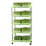 种菜记芽苗菜育苗盘套装水培蔬菜特色纸上种菜无土栽培立体芽苗菜架 加密盘(不带盖)5层/10盘套餐