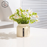 水木然 北欧仿真尤加利雏菊室内盆景摆件客厅餐桌假花仿真花摆设