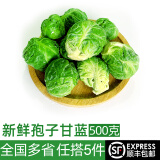 绿食者 孢子甘蓝500g 抱子甘蓝 迷你小包菜小卷心菜新鲜蔬菜沙拉食材