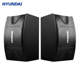 HYUNDAI现代 10吋 12吋家庭影院KTV无源音响 卡拉OK家用K歌设备家用客厅K歌音响卡包音箱 12吋音响一对
