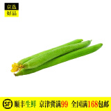 丝瓜 嫩绿丝瓜 新鲜蔬菜 500g 禾人