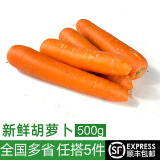 绿食者 新鲜大胡萝卜500g 时令蔬菜红萝卜生吃甜脆炒菜配料食材