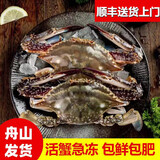 舟山梭子蟹鲜活冷冻新鲜超大海螃蟹白蟹花蟹海鲜生鲜蟹类 3斤约7-10只
