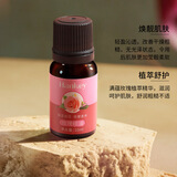 韩纪玫瑰艾草茶树美胸精油胸部护理精油美容院身体推拿按摩护肤品 玫瑰精油