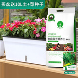 漫生活花盆组合套装加厚长方形塑料两层阳台种菜箱室内植物种菜盆(大号)