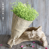 爱满（AIMAN） 鲜花真花天然满天星花束真花客厅家居装饰店面摆设小清新风花束 黄色满天星 含报纸+丝带