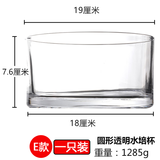 OIMG郁金香水培容器水培玻璃花盆郁金香水养花瓶水仙绿萝风信子植物透 7.6cm*19cm圆形 大