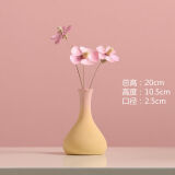 棠溪塘 莫兰迪小花瓶ins风茶几桌面客厅插花装饰品干花摆件家居摆设马卡龙色花瓶装饰ins花插摆件 马卡龙H-渐变暖黄+紫罗兰粉干花