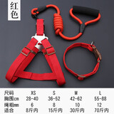 慧宠儿狗狗牵引绳大中小型犬幼犬遛狗绳狗链子猫咪项圈泰迪金毛宠物用品 红色三件套【胸背+绳+项圈】 【XS】适合2-8斤
