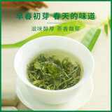 协穆新茶信阳毛尖绿茶茶叶2024新茶明前翠芽散装浓香型春茶毛尖茶嫩芽 毛尖茶叶绿茶1小包5克 散装