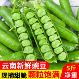 言片光 云南豌豆新鲜现摘带壳豌豆荚 水果甜豌豆 时令蔬菜 3斤装