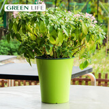 GREENLIFE进口加厚塑料青山花盆绣球月季艺术盆阳台种植盆君子兰花盆控根盆 绿色 20CM