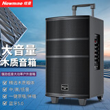 纽曼（Newmine）K97蓝牙音箱户外大音量广场舞音响小型家用收音手提便携式无线K歌地摊摆微信收款播报器乐器音箱 L23大拉杆音箱（单话筒+遥控器）
