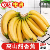 探味君 高山香蕉 香甜大香蕉banana 当季新鲜水果芭蕉带箱 9斤 净重8.5斤【精选装】