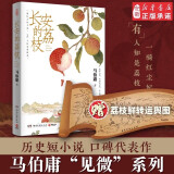 马伯庸作品集新作 食南之徒  全套22册太白金星有点烦长安的荔枝大医长安十二时辰显微镜下的大明风起陇西古董局中局三国机密三国配角演义七候笔录马伯庸笑翻中国史龙与地下铁小说系列单本套装可选 单本：长安的