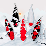 招财如意锦鲤冷水观赏鱼大型纯种精品红白三色招财鱼好养耐活风水鱼活鱼 四季发财（随机颜色4条可指定）  8-10cm