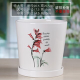 裕轩堂纯白色新款陶瓷花盆室内简约个性带托盘绿萝吊兰蝴蝶兰多肉盆桌面 60355 中号口径约14厘米