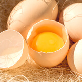 葛溪正太鸡蛋 农场直供 健康早餐 鲜蛋 农场直供鲜鸡蛋x8枚【单枚40g】