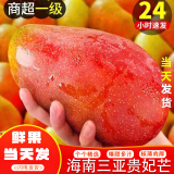鲸咚亿农海南三亚贵妃芒薄核纸核芒果红金龙树上熟当季甜心芒孕妇新鲜水果 3斤尝鲜中果