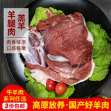 密农人家 围场鲜羊肉 羊腿肉 高原羔羊腿  肥瘦相间 急冻锁鲜新鲜羊肉500g