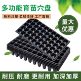 育苗盘育苗盆穴盘塑料杯种植营养钵蔬菜育种扦插盒农用托盘盆 21穴加厚育苗盘10片