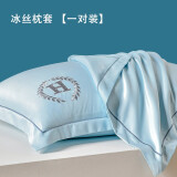 南极人（NanJiren）冰丝枕套枕头套夏季枕套48x74cm一对冰丝枕头套枕巾单人一只枕席 夏月-风铃兰【一对装冰丝枕套】 48x74cm【可水洗机洗】