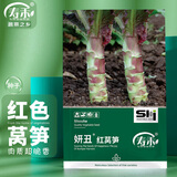 寿禾红莴笋种子种苗红叶农家夏季播蔬菜种籽 潍育妍丑红莴笋种子15g