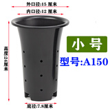 侬景园兰花专用盆 塑料兰花盆批发加厚加高大号兰花花盆透气排水兰草盆 小号(外口径15厘米)