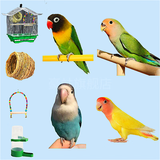 豪蚨虎皮鹦鹉说话小鸟活物观赏鸟宠物牡丹小太阳亲人玄风鹦鹉豪蚨 套餐3：自选牡丹一对+单层别墅