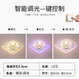 胜森走廊灯过道灯客厅造型灯玄关洞灯创意筒灯门厅入户筒灯嵌入式孔灯 18厘米三档调光暖光+彩光 暗装天花需要开孔5-9厘米