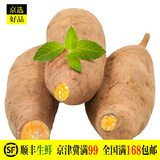 红薯 红薯新鲜 地瓜 新鲜蔬菜 禾人 500g