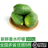 绿食者 新鲜香水柠檬500g 新鲜当季水果青柠檬 奶茶店用皮薄多汁