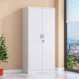 异彩年华钢制文件柜铁皮柜子储物柜带锁办公室五节财务凭证档案资料收纳柜 对开五层(整体发货，破损包赔) 促销款