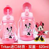 迪士尼儿童水杯 双盖Tritan宝宝吸管杯夏季塑料杯女学生水壶 520ML米妮