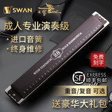 天鹅德国进口音簧天鹅24孔复音口琴成人初学者入门28孔重音专业演奏级 【专业大师调音】28孔深木纹复音C调+伴奏U盘