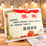 婴果小岛父亲节送爸爸妈妈生日礼物实用的抱枕被子靠垫给母亲老婆老师教师 送爸爸【大号抱枕】