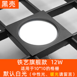 陇之佃格栅灯开孔15x15网格5寸吊顶嵌入式正方形筒灯射灯黑色隔珊灯led 10x10黑壳铁艺旗舰款12W