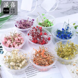 派喜滴胶干花满天星 水晶滴胶干花滴胶ab胶模具带枝花朵 多规格 8色大集合