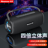 纽曼（Newmine）蓝牙音箱 音响户外广场舞家用桌面低音炮手提便携迷你小钢炮U盘电脑手机高音质无线小音响 N20黑（双喇叭大功率户外露营）