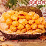 富铭士海南正宗红肉菠萝蜜木菠萝新鲜应季水果红心干苞波罗蜜肉 10-12斤